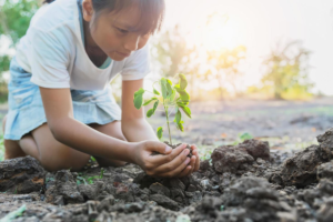 Kit de jardinagem infantil.