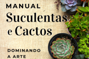 manual de cactos e suculentas