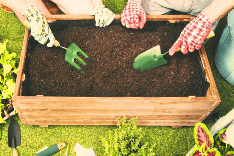 húmus de minhoca para as suas plantas