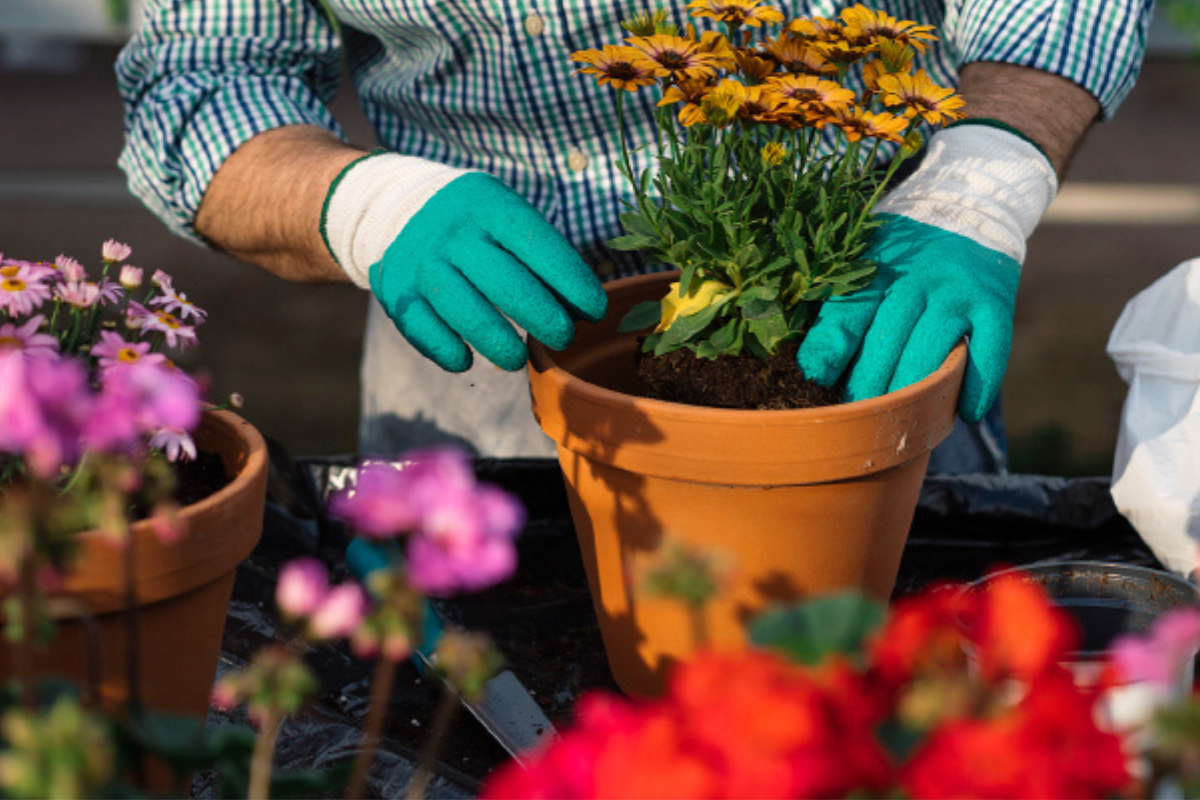 As luvas para jardinagem