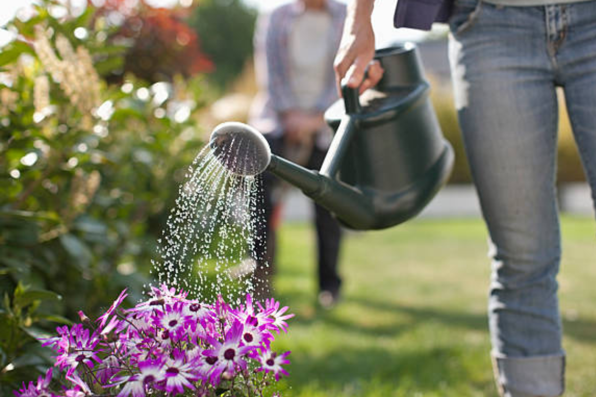 Regador para seu jardim